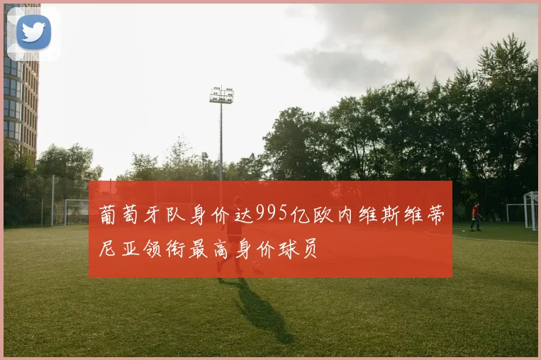 葡萄牙队身价达995亿欧内维斯维蒂尼亚领衔最高身价球员