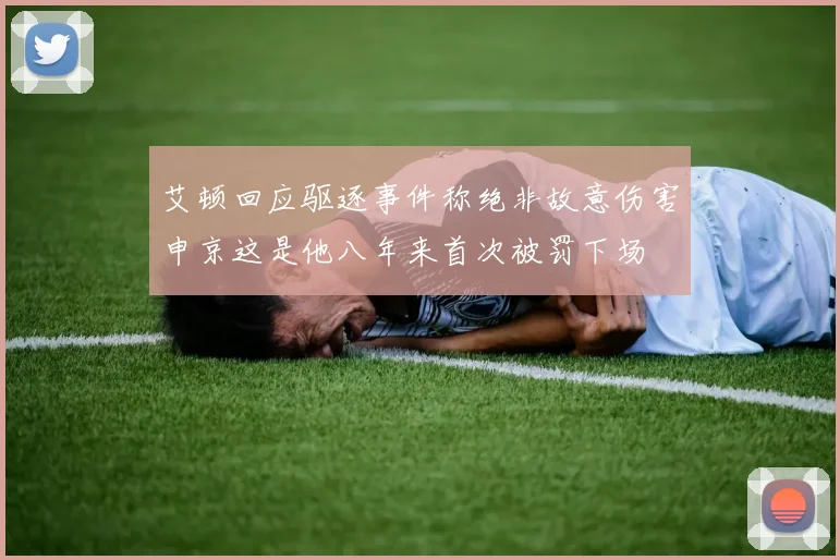艾顿回应驱逐事件称绝非故意伤害申京这是他八年来首次被罚下场